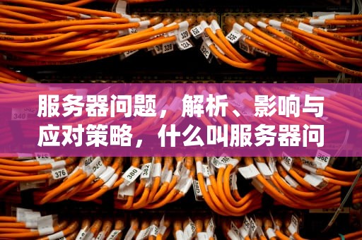 服务器问题，解析、影响与应对策略，什么叫服务器问题呢
