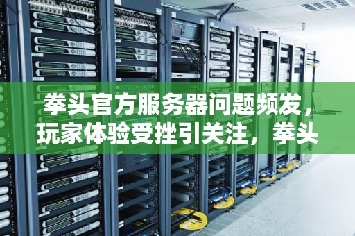 拳头官方服务器问题频发，玩家体验受挫引关注，拳头服务器在哪
