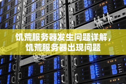 饥荒服务器发生问题详解，饥荒服务器出现问题