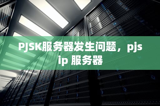 PJSK服务器发生问题，pjsip 服务器
