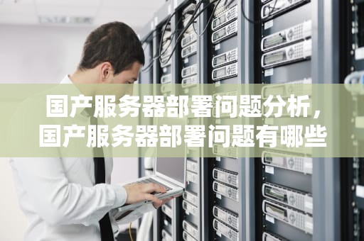 国产服务器部署问题分析，国产服务器部署问题有哪些