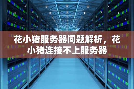 花小猪服务器问题解析，花小猪连接不上服务器