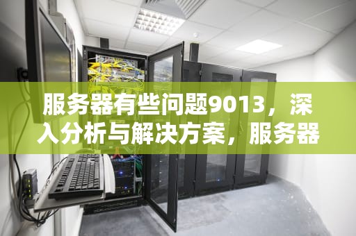 服务器有些问题9013，深入分析与解决方案，服务器有些问题9013怎么解决