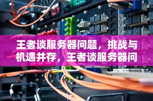 王者谈服务器问题，挑战与机遇并存，王者谈服务器问题怎么回答