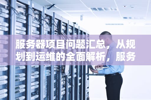 服务器项目问题汇总，从规划到运维的全面解析，服务器项目问题汇总表