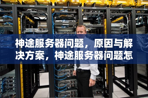 神途服务器问题，原因与解决方案，神途服务器问题怎么解决