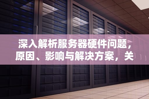 深入解析服务器硬件问题，原因、影响与解决方案，关于服务器硬件问题的论文