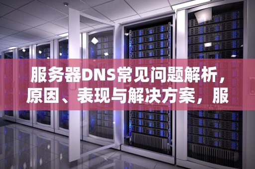 服务器DNS常见问题解析，原因、表现与解决方案，服务器dns异常怎么解决