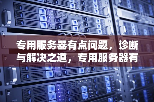 专用服务器有点问题，诊断与解决之道，专用服务器有点问题怎么解决