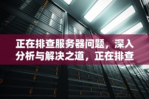 正在排查服务器问题，深入分析与解决之道，正在排查服务器问题什么意思