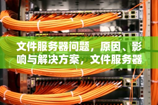 文件服务器问题，原因、影响与解决方案，文件服务器问题怎么解决