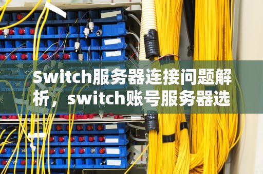 Switch服务器连接问题解析，switch账号服务器选择