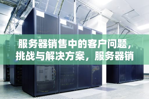 服务器销售中的客户问题，挑战与解决方案，服务器销售客户问题有哪些