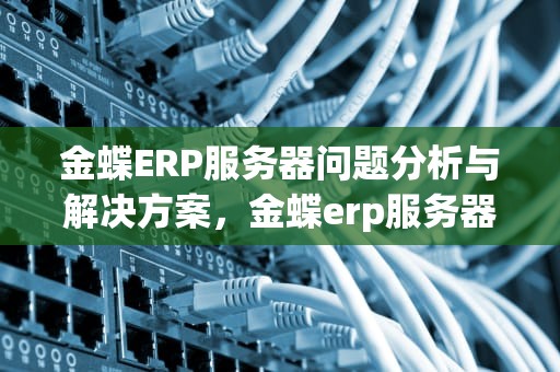 金蝶ERP服务器问题分析与解决方案，金蝶erp服务器问题怎么解决