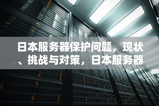 日本服务器保护问题，现状、挑战与对策，日本服务器保护问题有哪些
