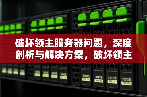 破坏领主服务器问题，深度剖析与解决方案，破坏领主服务器问题怎么解决