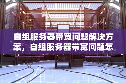 自组服务器带宽问题解决方案，自组服务器带宽问题怎么解决