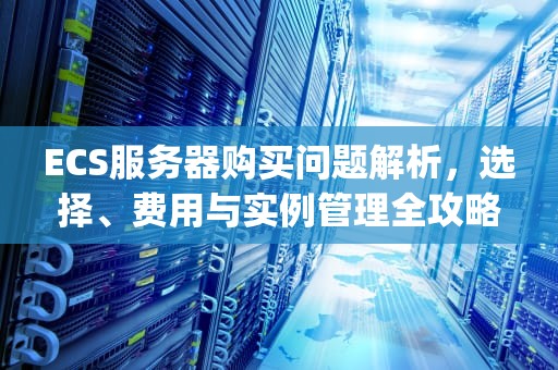 ECS服务器购买问题解析，选择、费用与实例管理全攻略，ecchange服务器