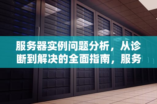 服务器实例问题分析，从诊断到解决的全面指南，服务器实例问题分析报告