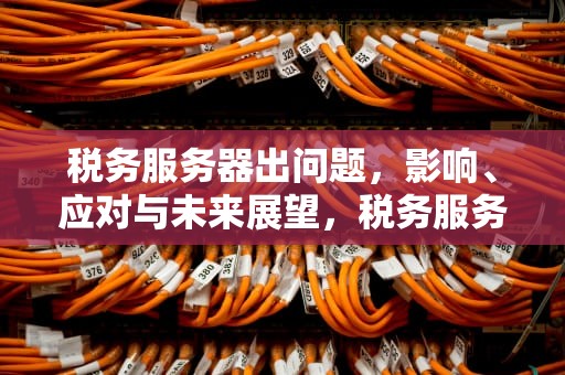 税务服务器出问题，影响、应对与未来展望，税务服务器出问题怎么处理