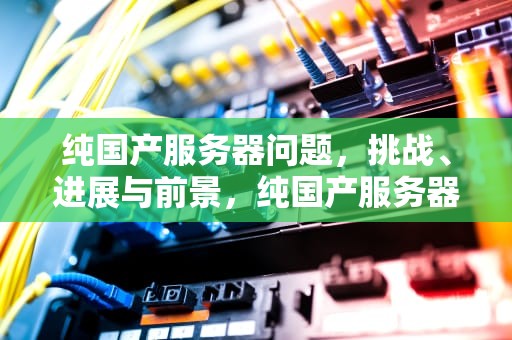 纯国产服务器问题，挑战、进展与前景，纯国产服务器问题有哪些
