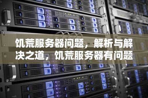 饥荒服务器问题，解析与解决之道，饥荒服务器有问题请再次尝试
