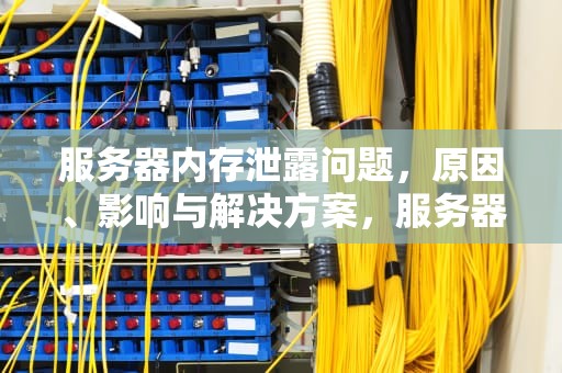 服务器内存泄露问题，原因、影响与解决方案，服务器内存泄露问题怎么解决