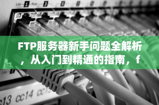 FTP服务器新手问题全解析，从入门到精通的指南，ftp服务器新手问题怎么解决