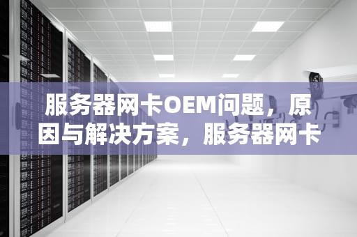 服务器网卡OEM问题，原因与解决方案，服务器网卡oem问题怎么解决