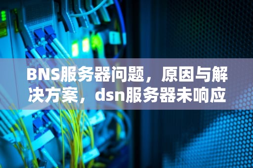 BNS服务器问题，原因与解决方案，dsn服务器未响应原因