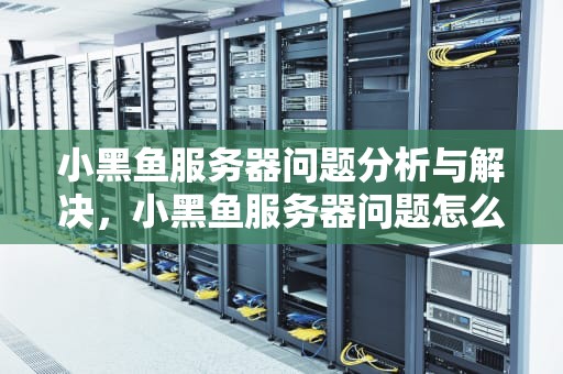 小黑鱼服务器问题分析与解决，小黑鱼服务器问题怎么解决