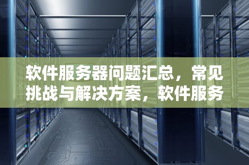 软件服务器问题汇总，常见挑战与解决方案，软件服务器问题汇总表