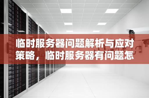 临时服务器问题解析与应对策略，临时服务器有问题怎么解决