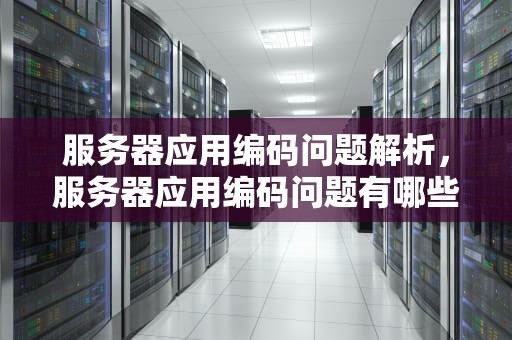 服务器应用编码问题解析，服务器应用编码问题有哪些