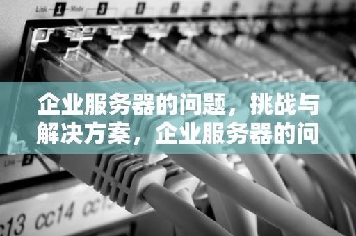 企业服务器的问题，挑战与解决方案，企业服务器的问题有哪些