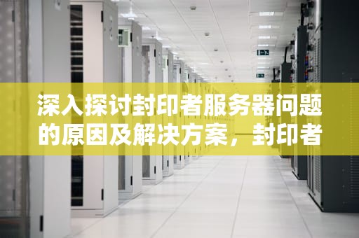 深入探讨封印者服务器问题的原因及解决方案，封印者服务器问题怎么解决