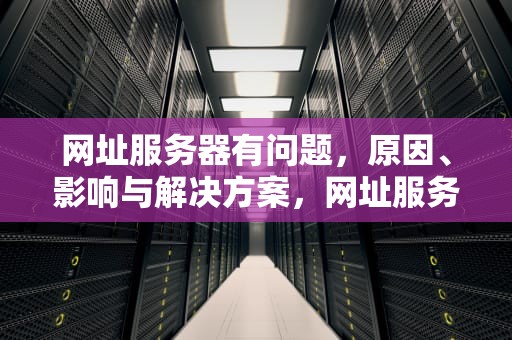 网址服务器有问题，原因、影响与解决方案，网址服务器有问题怎么解决