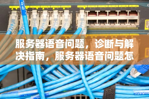 服务器语音问题，诊断与解决指南，服务器语音问题怎么解决