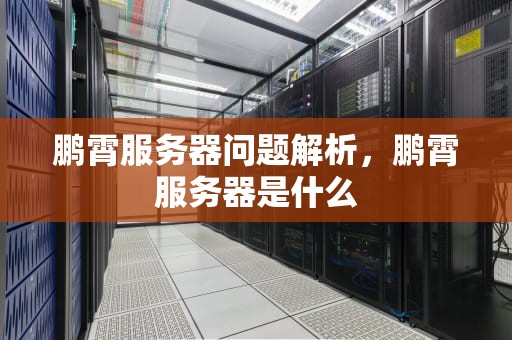 鹏霄服务器问题解析，鹏霄服务器是什么