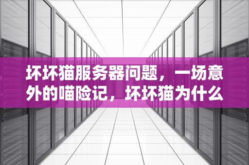 坏坏猫服务器问题，一场意外的喵险记，坏坏猫为什么总显示服务器异常