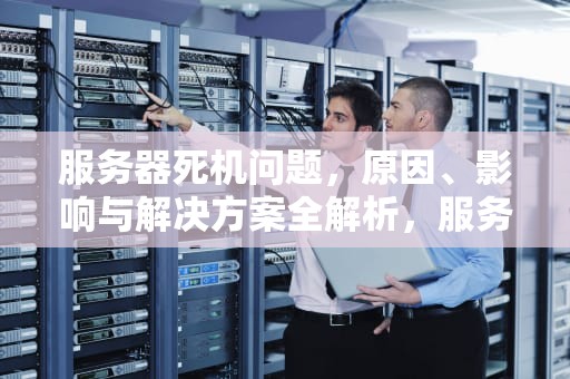 服务器死机问题，原因、影响与解决方案全解析，服务器死机问题吗能修好吗
