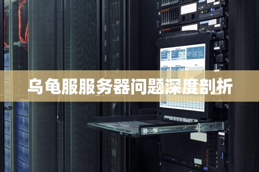 乌龟服服务器问题深度剖析