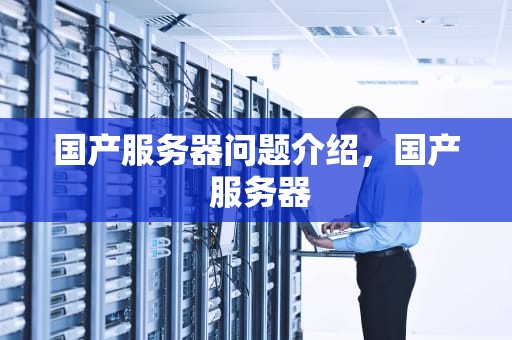 国产服务器问题介绍，国产 服务器