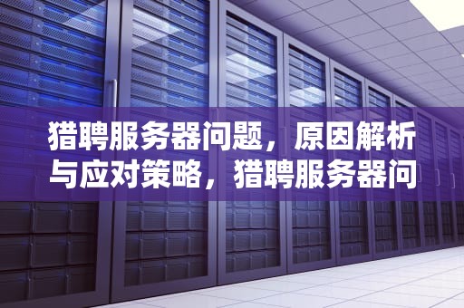 猎聘服务器问题，原因解析与应对策略，猎聘服务器问题怎么解决