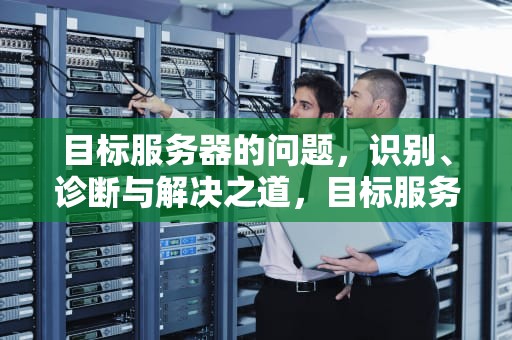 目标服务器的问题，识别、诊断与解决之道，目标服务器的问题有哪些