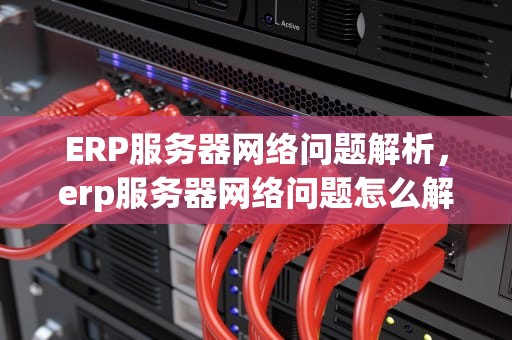 ERP服务器网络问题解析，erp服务器网络问题怎么解决