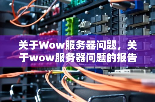 关于Wow服务器问题，关于wow服务器问题的报告