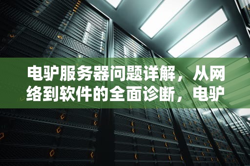 电驴服务器问题详解，从网络到软件的全面诊断，电驴 服务器