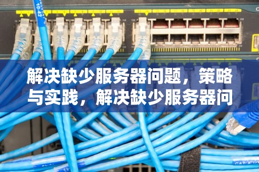 解决缺少服务器问题，策略与实践，解决缺少服务器问题的方法
