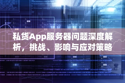 私货App服务器问题深度解析，挑战、影响与应对策略，私货app服务器问题怎么解决